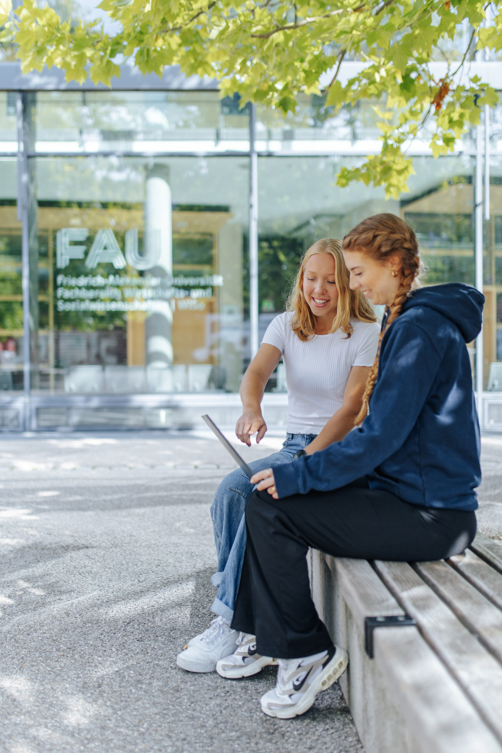 Study: From Curiosity to Career