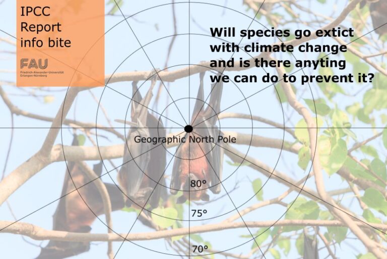 Will species go extinct with climate change and is there anything we can do to prevent it?